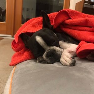 Meet your Posher, Sean